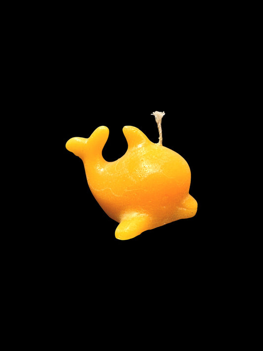 DELFINO giallo