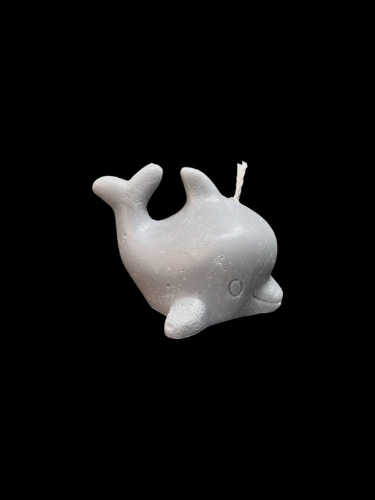 DELFINO grigio