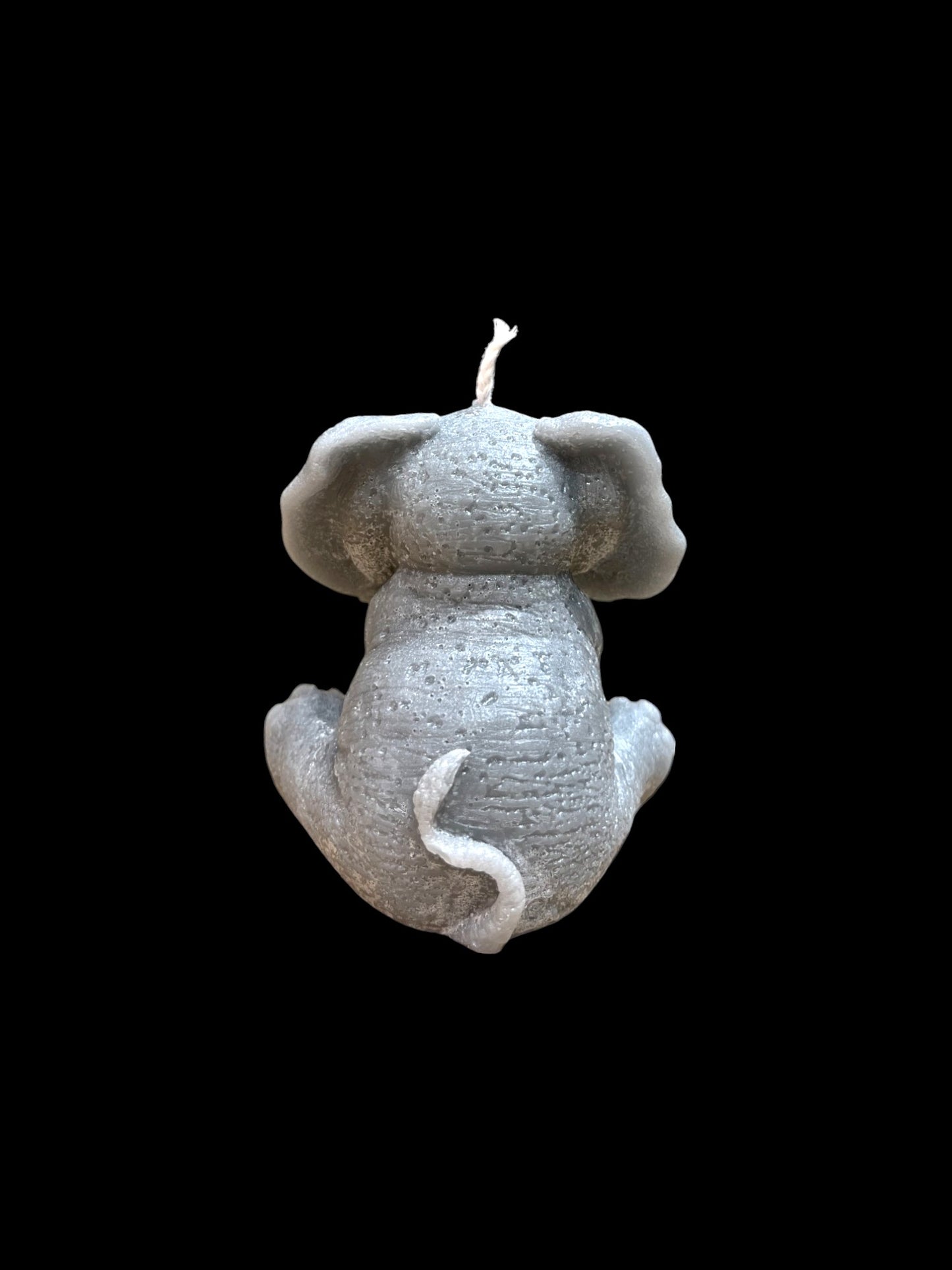 ELEFANTE grigio