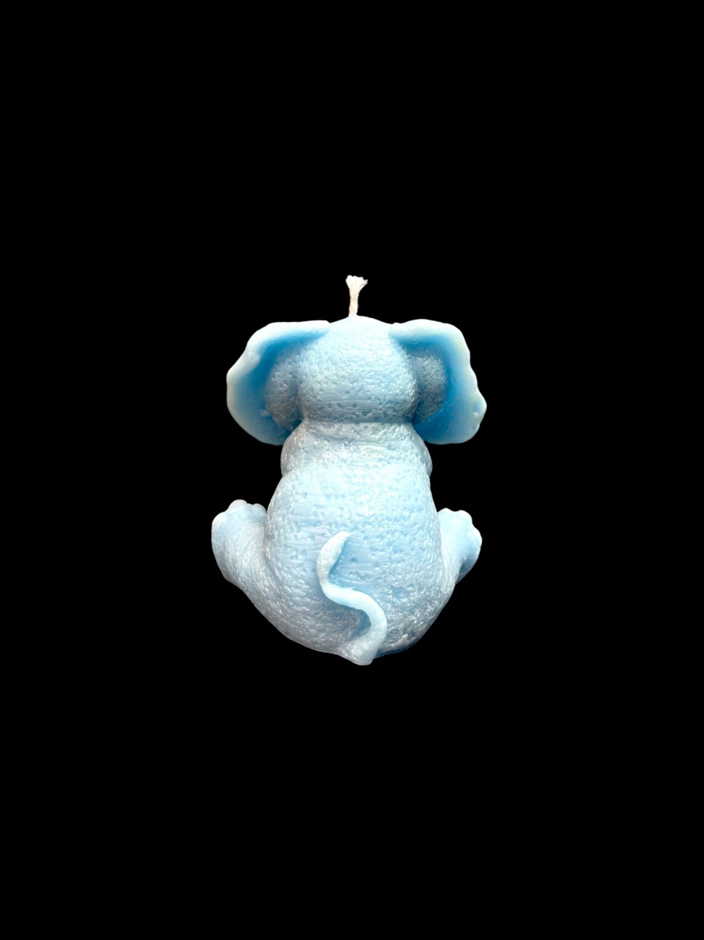 ELEFANTE azzurro