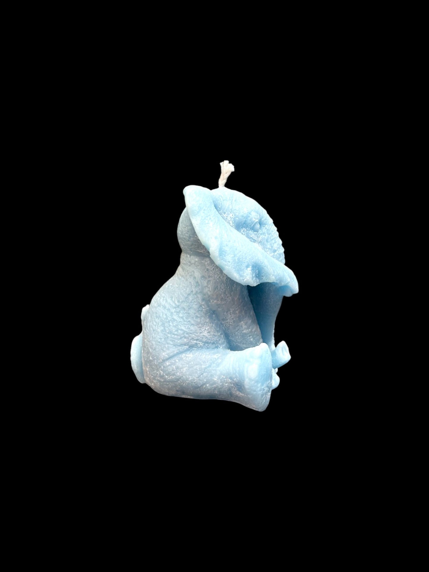 ELEFANTE azzurro