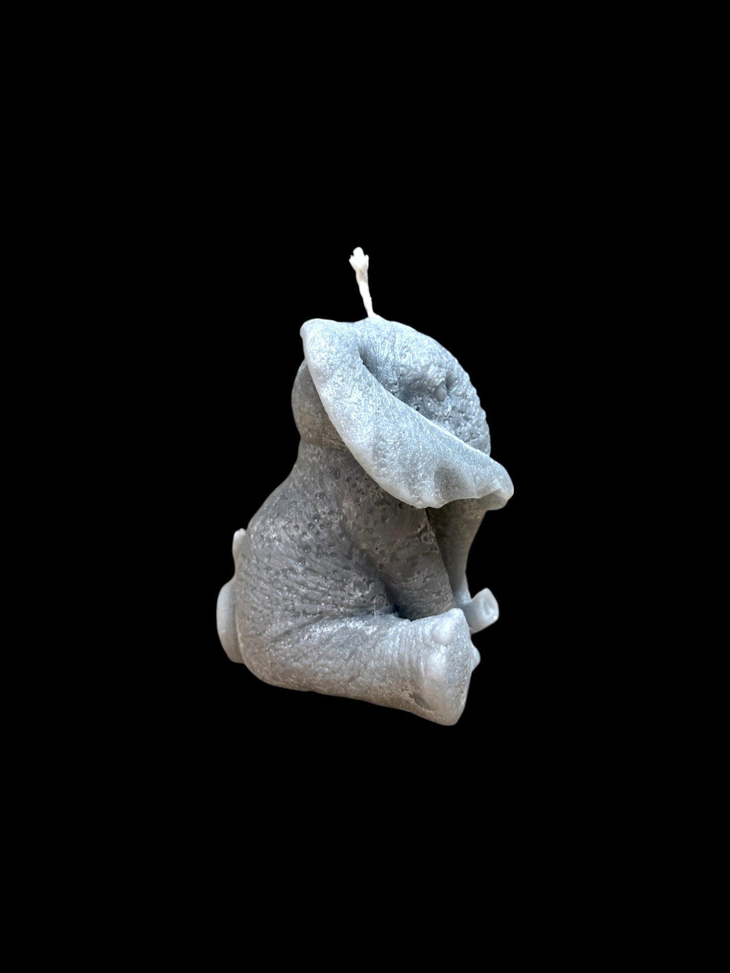 ELEFANTE grigio