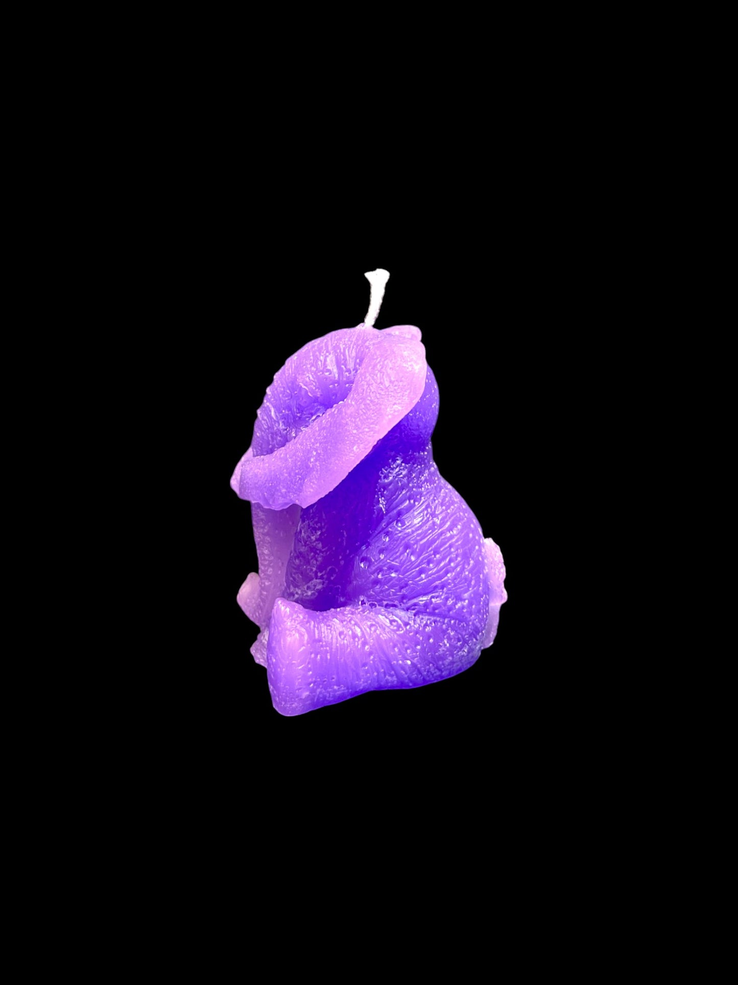 ELEFANTE viola