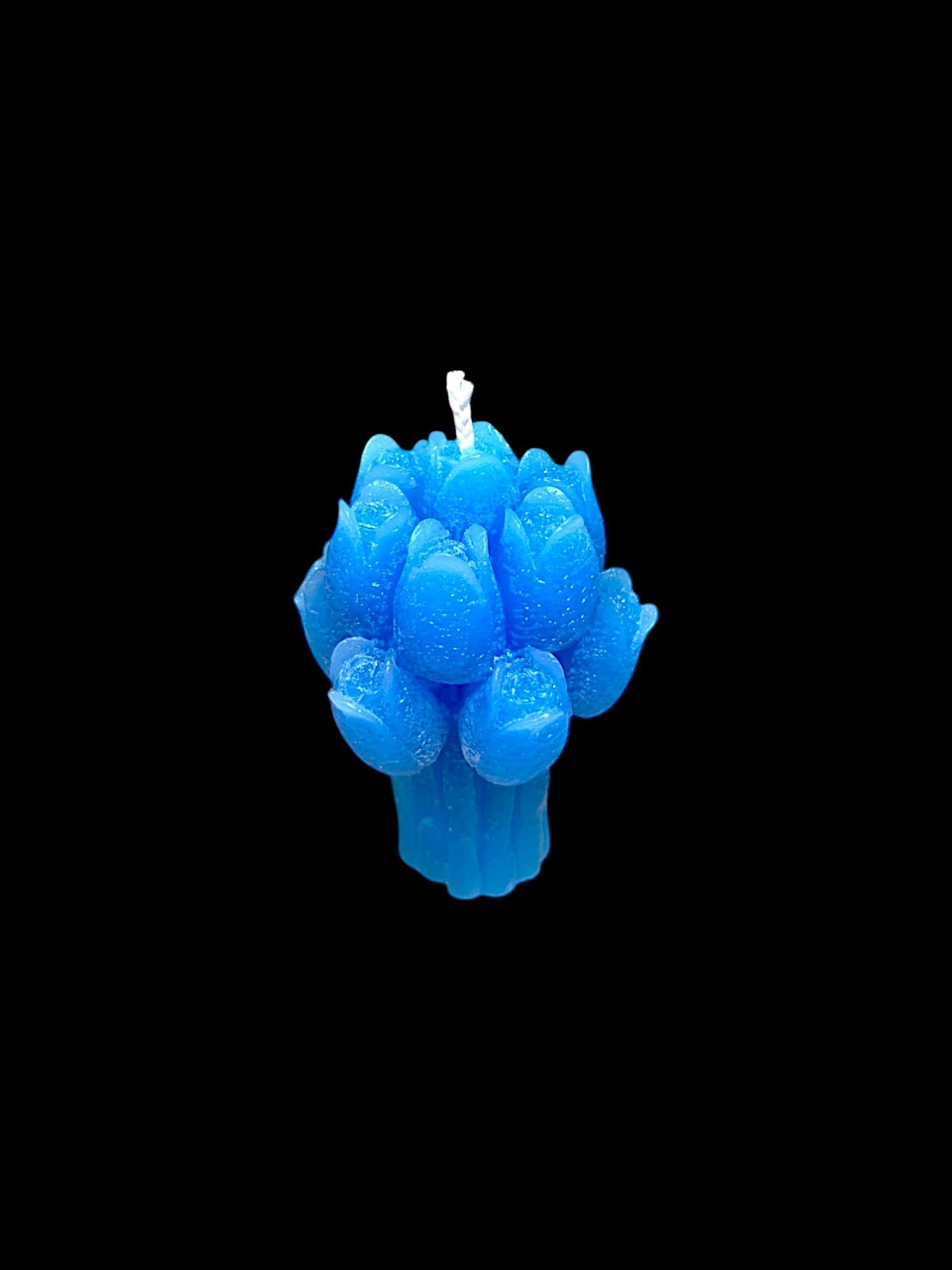 FIORI azzurri