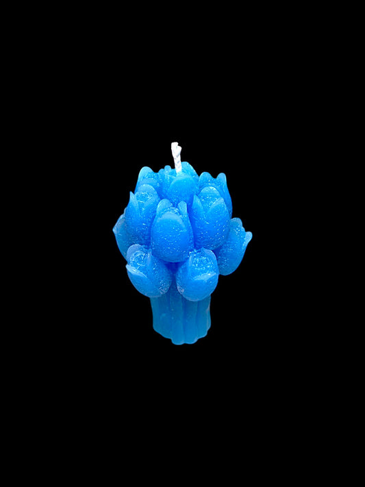 FIORI azzurri