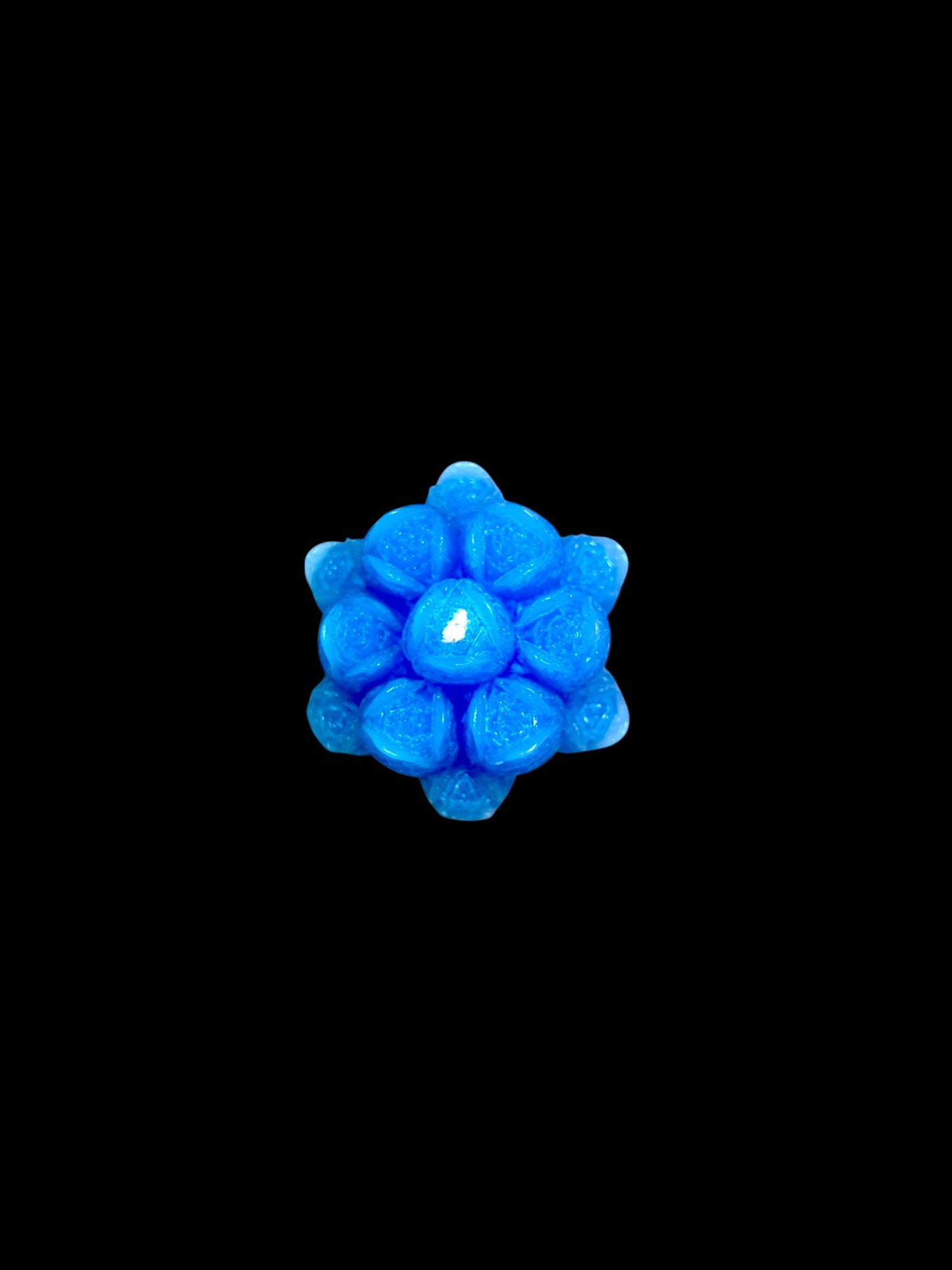 FIORI azzurri