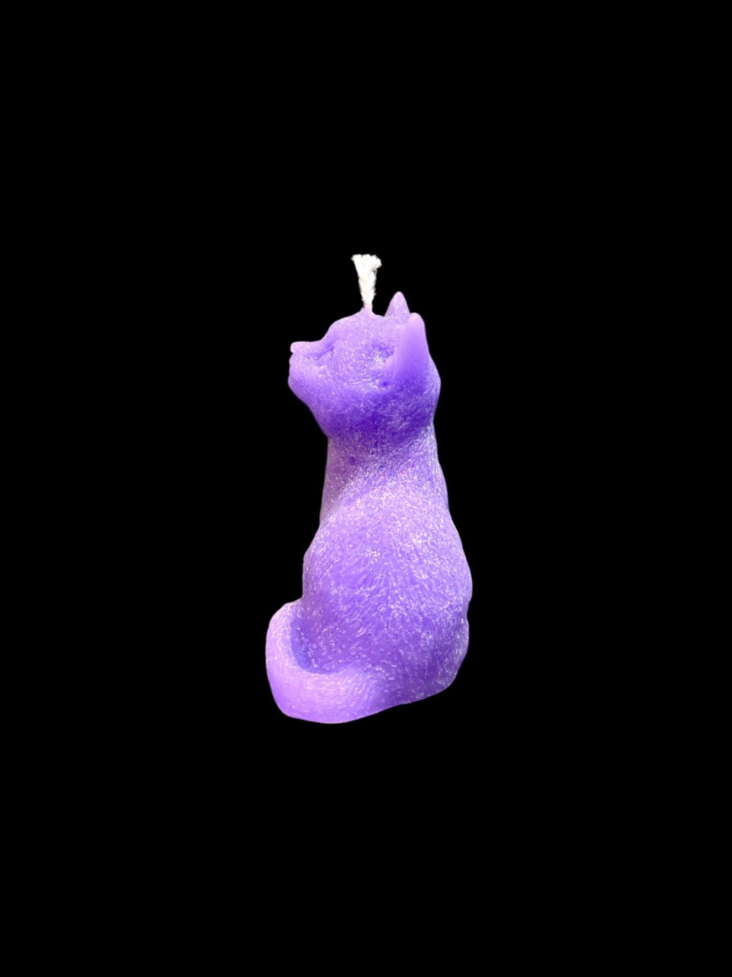 GATTO viola