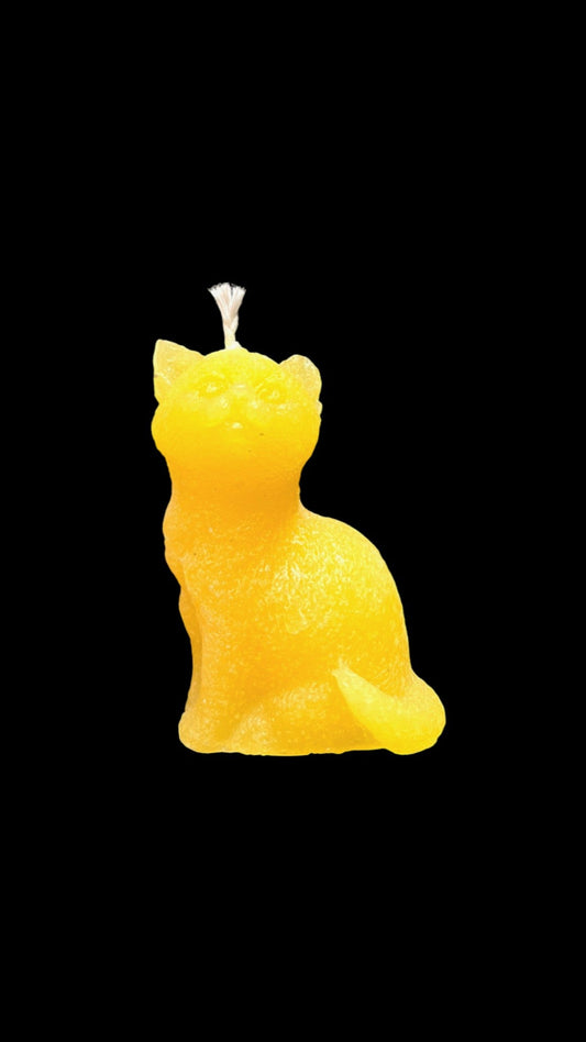 GATTO giallo