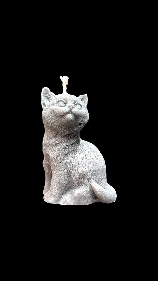 GATTO grigio