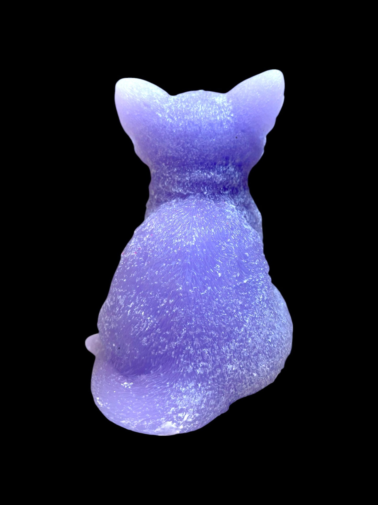 GATTO grande viola