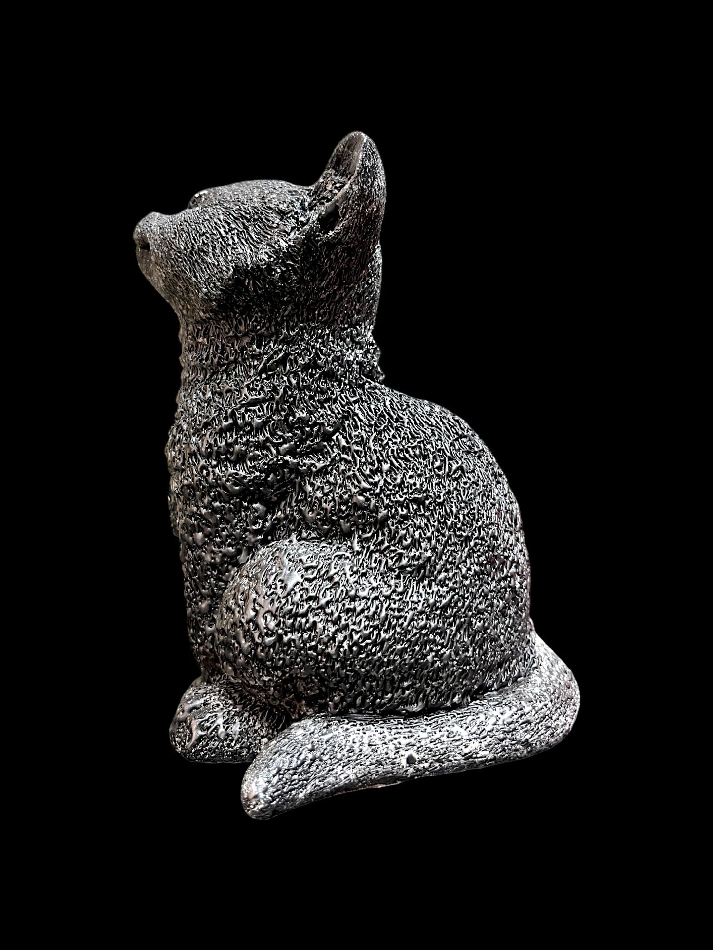 GATTO grande nero