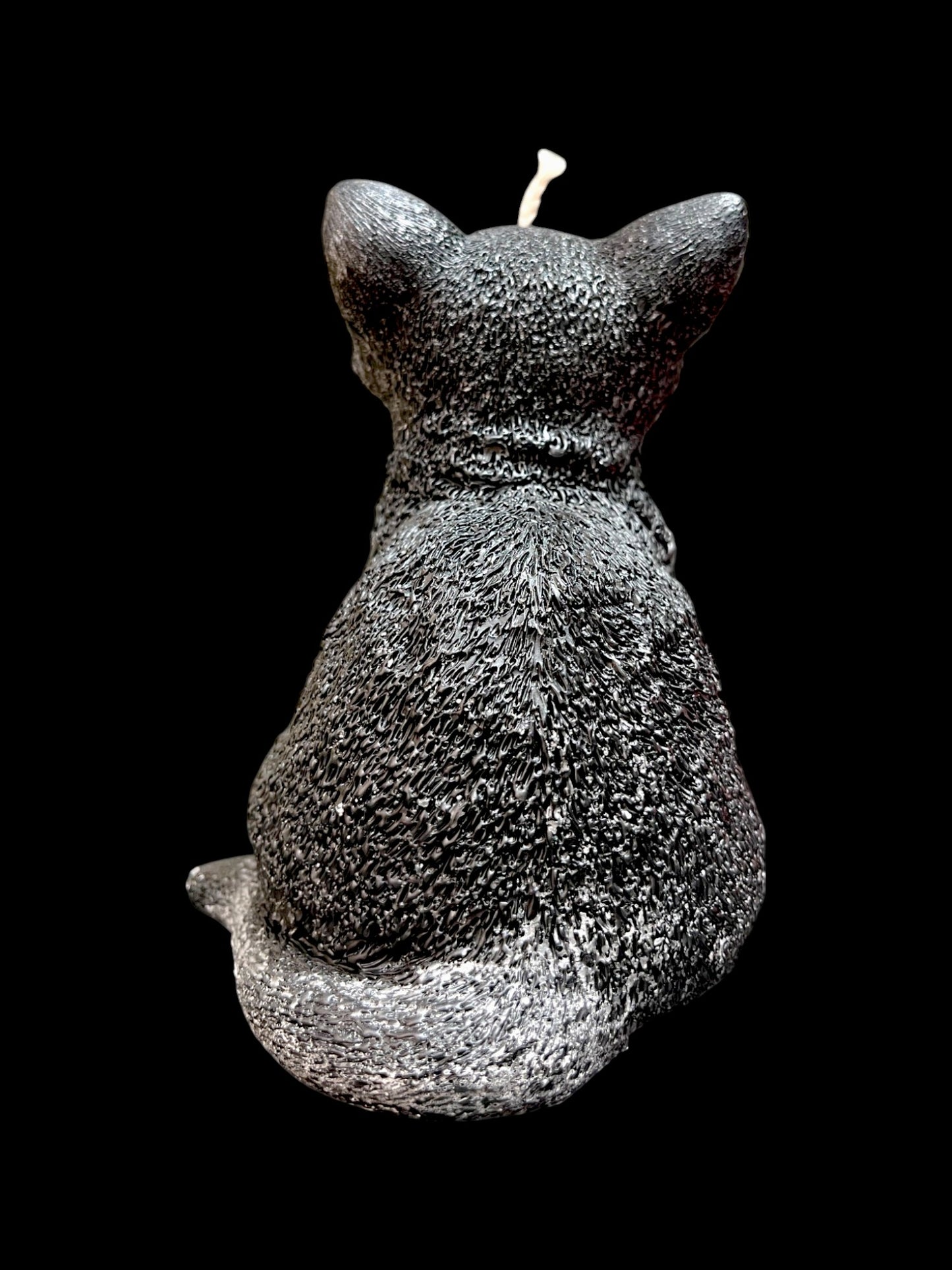 GATTO grande nero