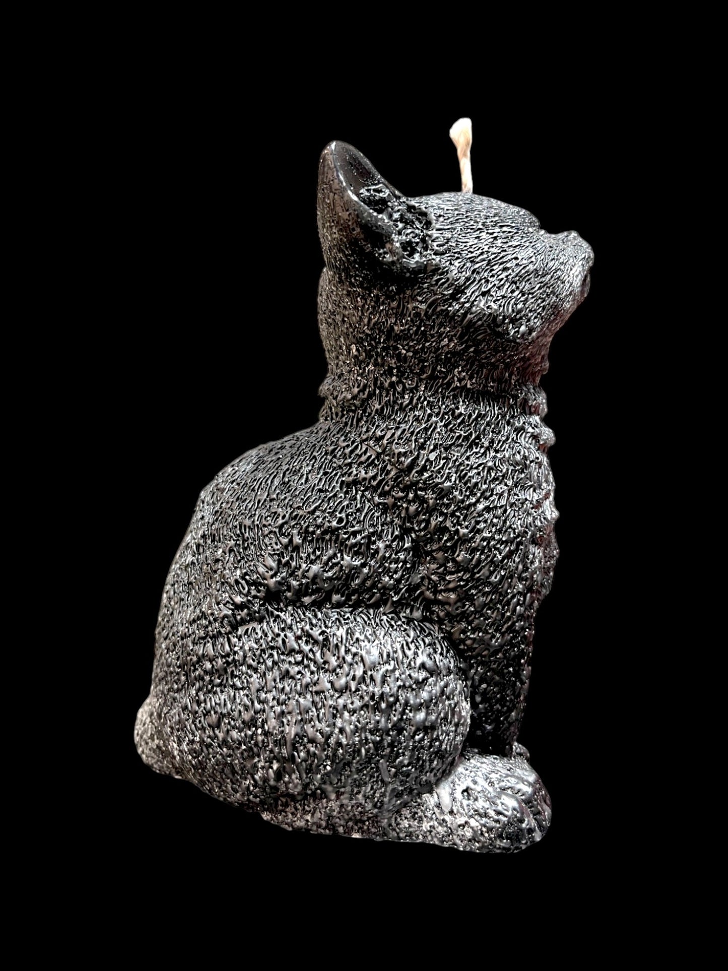 GATTO grande nero