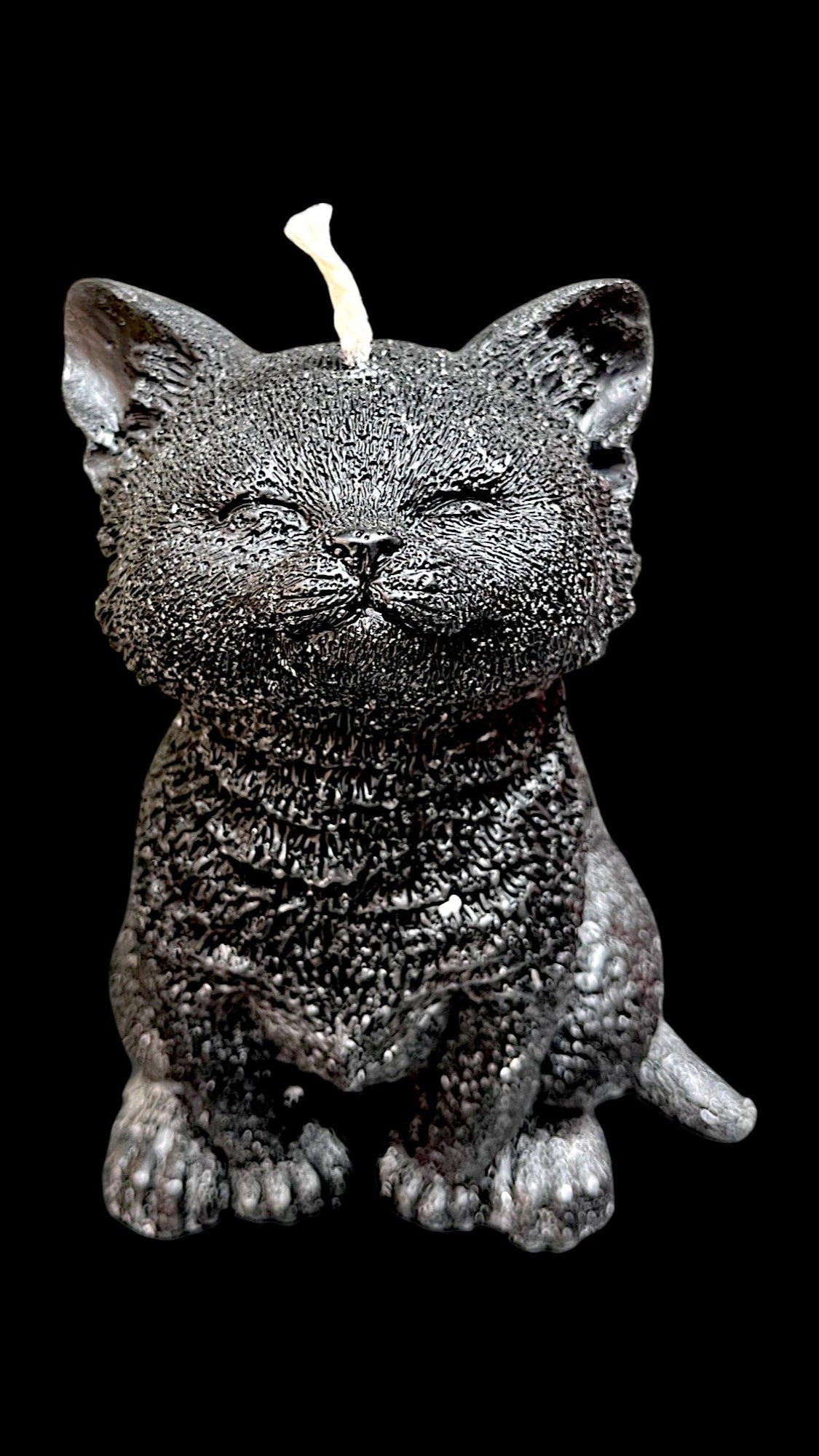 GATTO grande nero