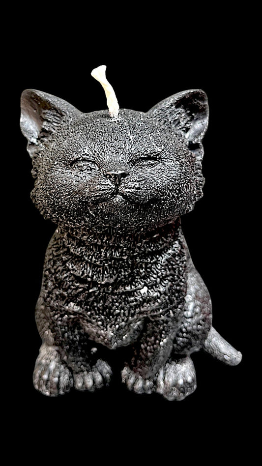 GATTO grande nero
