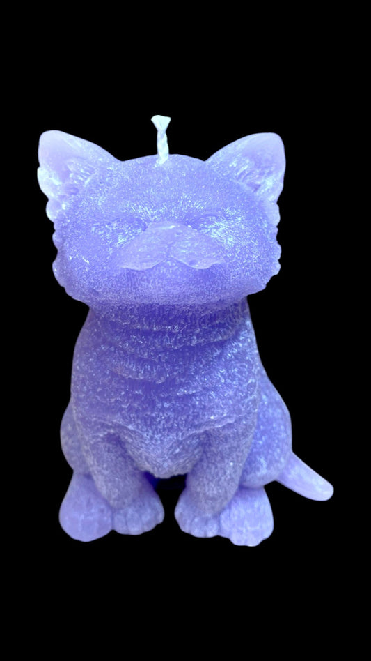GATTO grande viola