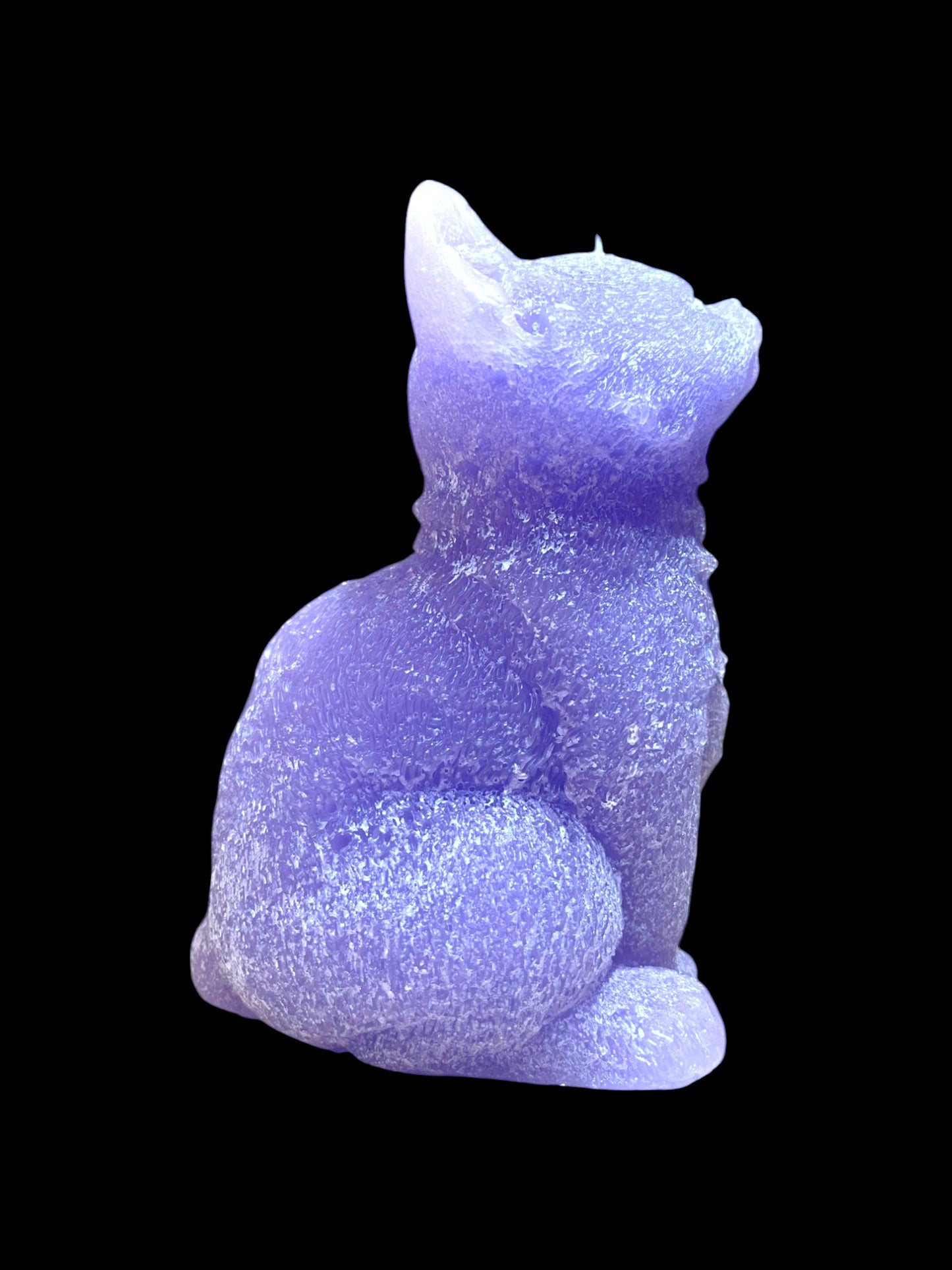 GATTO grande viola