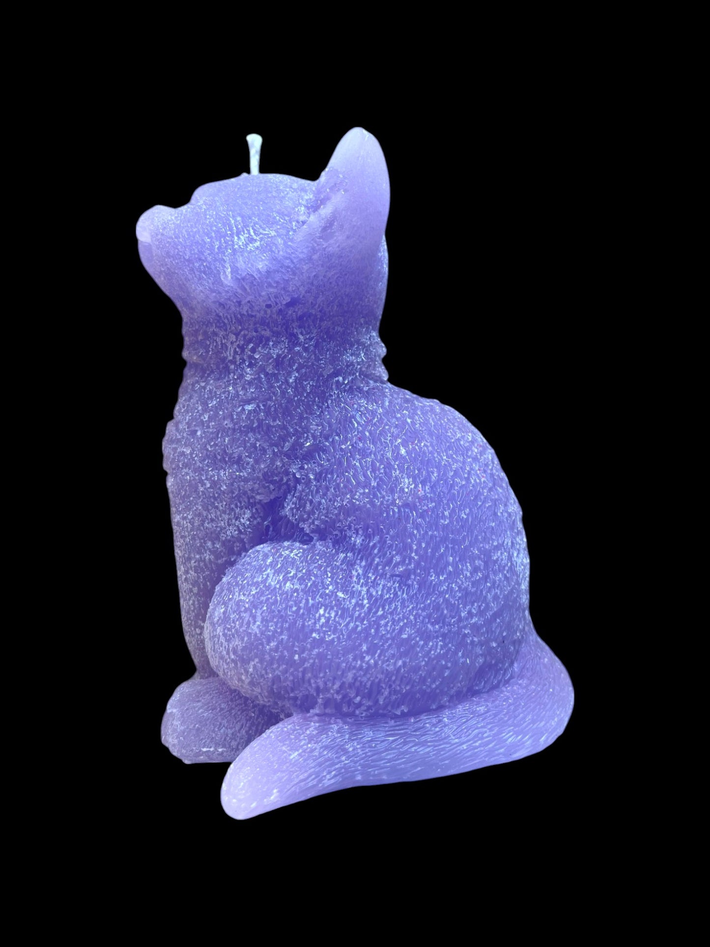 GATTO grande viola