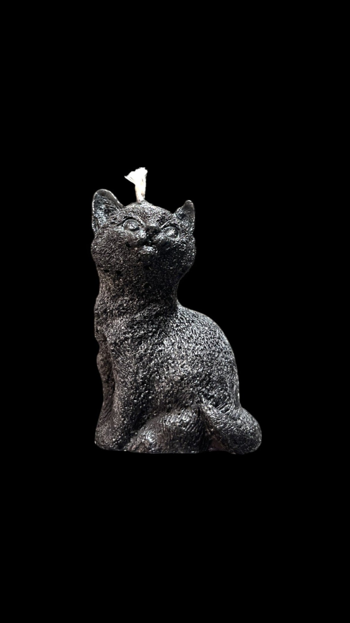 GATTO nero