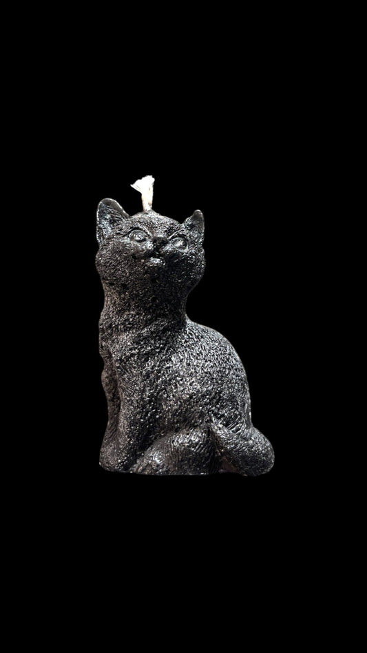 GATTO nero