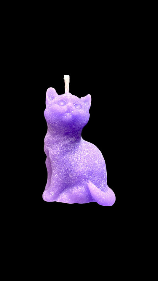 GATTO viola