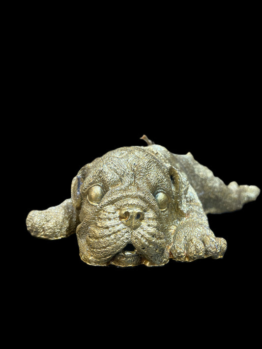 BULLDOG DISTESO oro