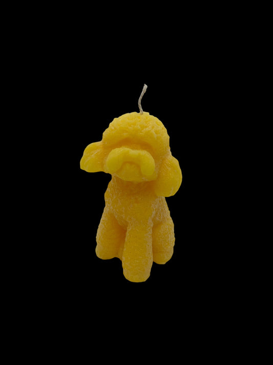 Gelber Pudelhund