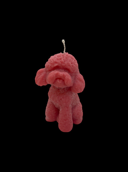 Pink poodle dog