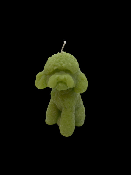 Green poodle dog