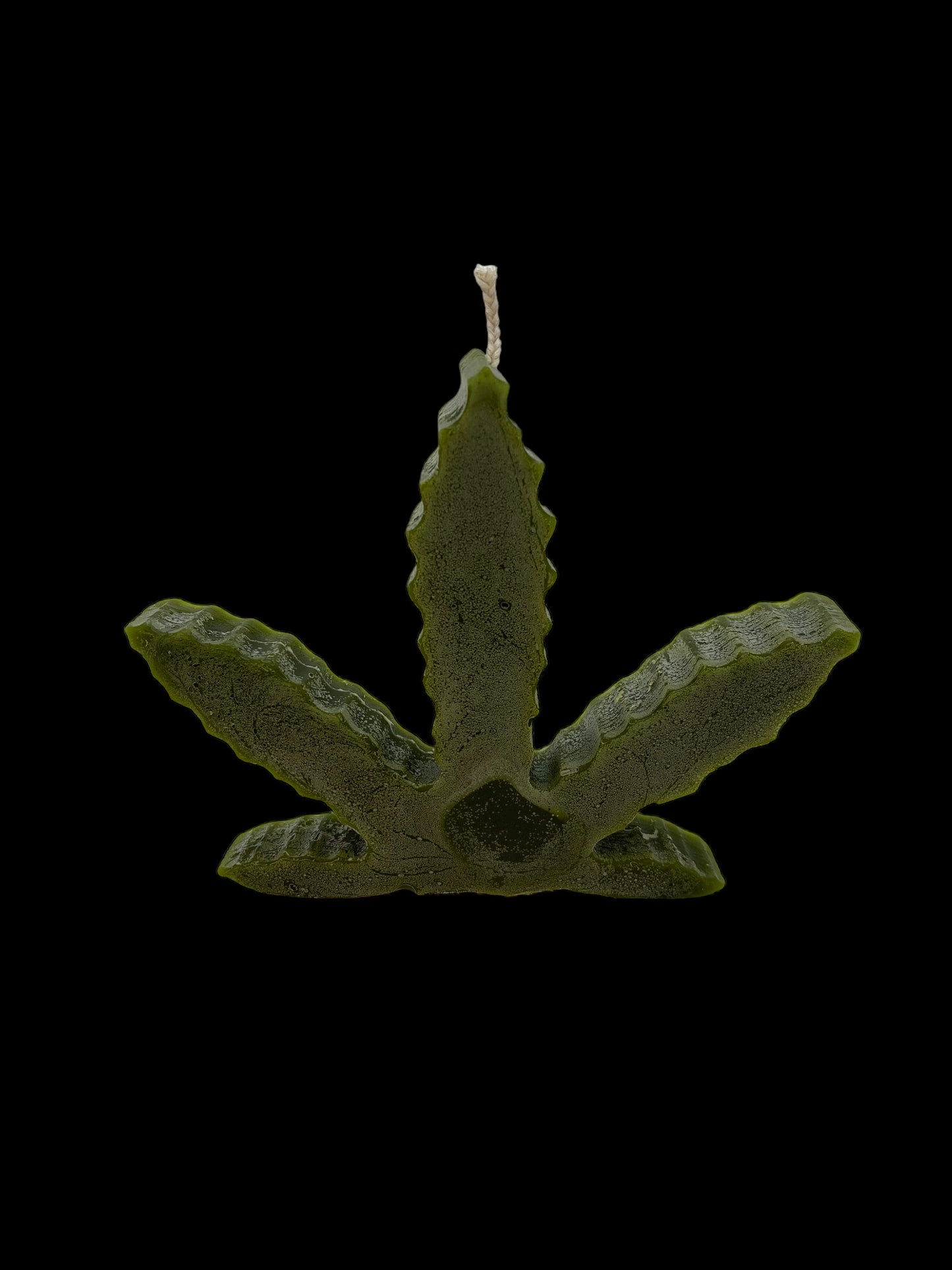 FOGLIA MARIJUANA VERDE