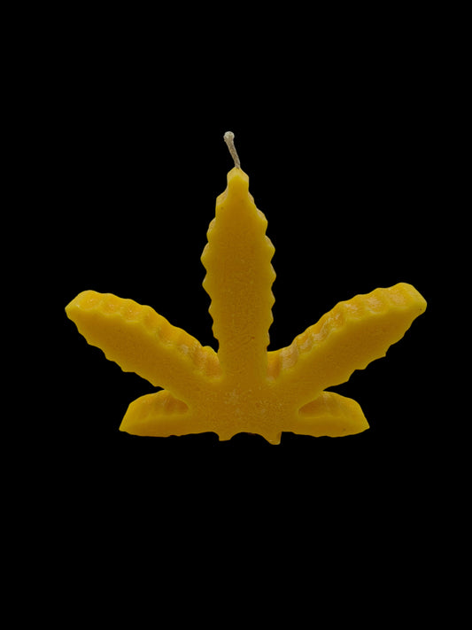 FOGLIA MARIJUANA gialla
