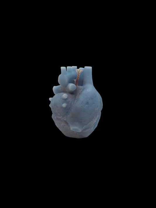 CUORE REALISTICO azzurro
