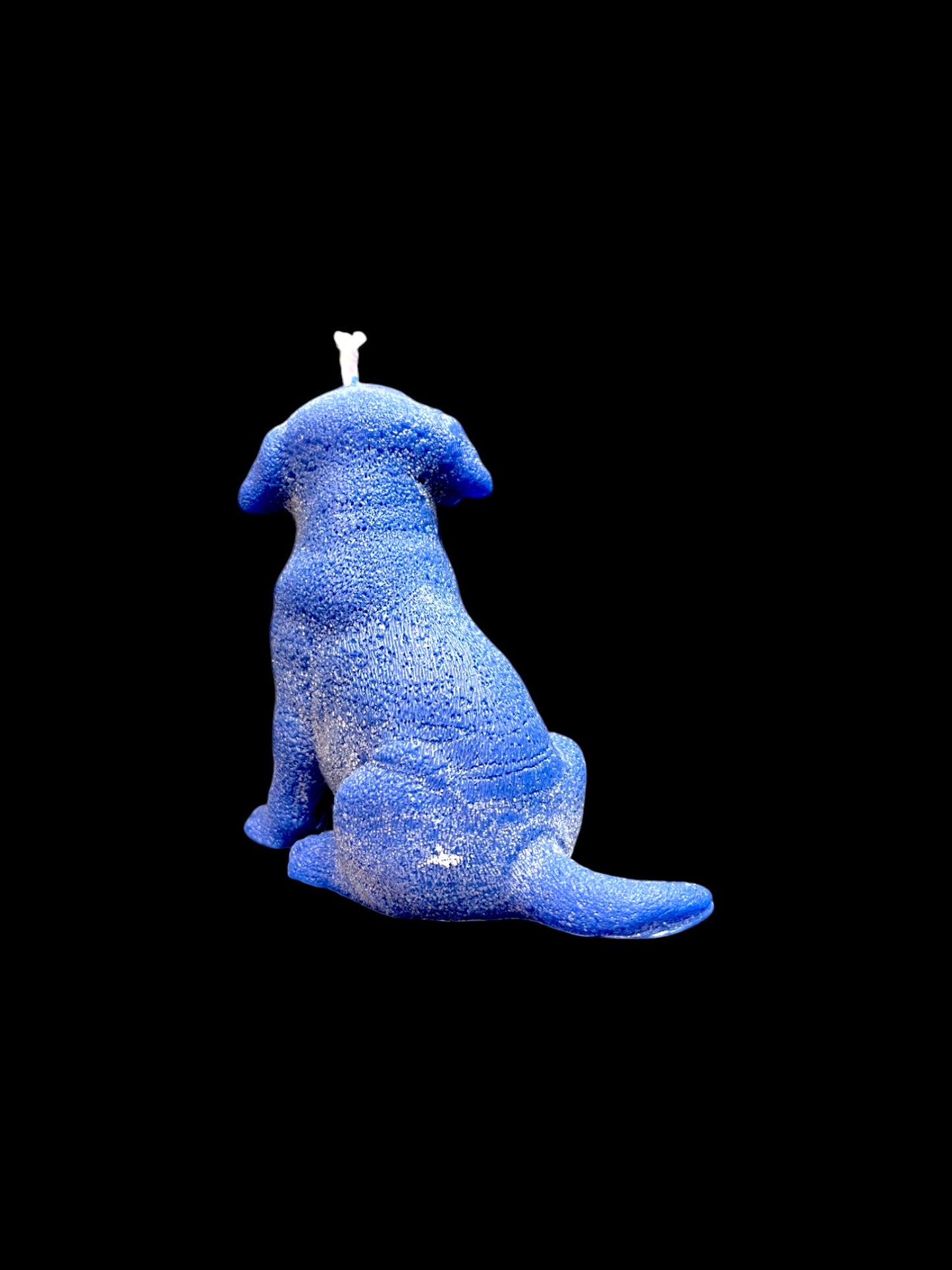 LABRADOR blu