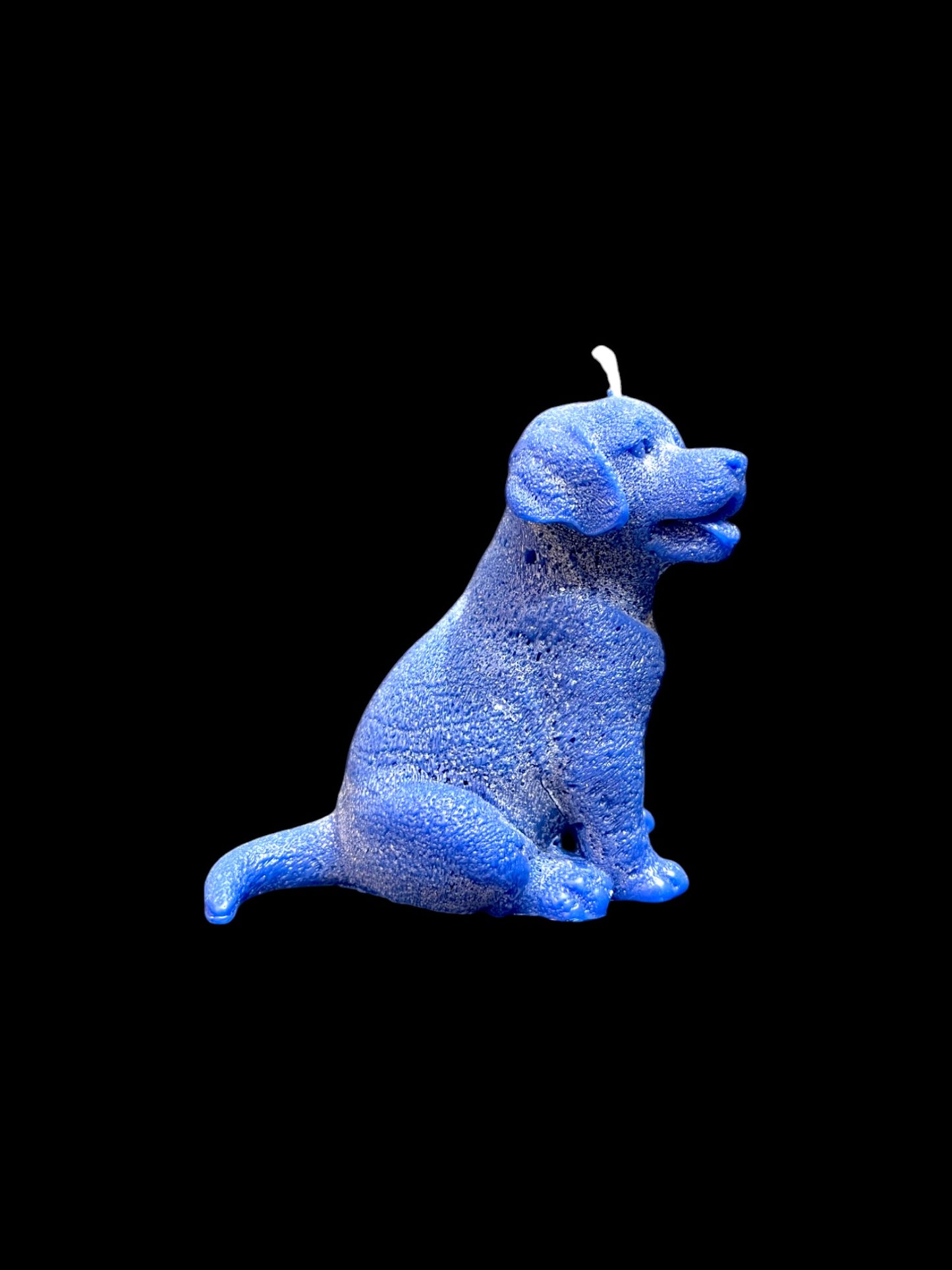 LABRADOR blu