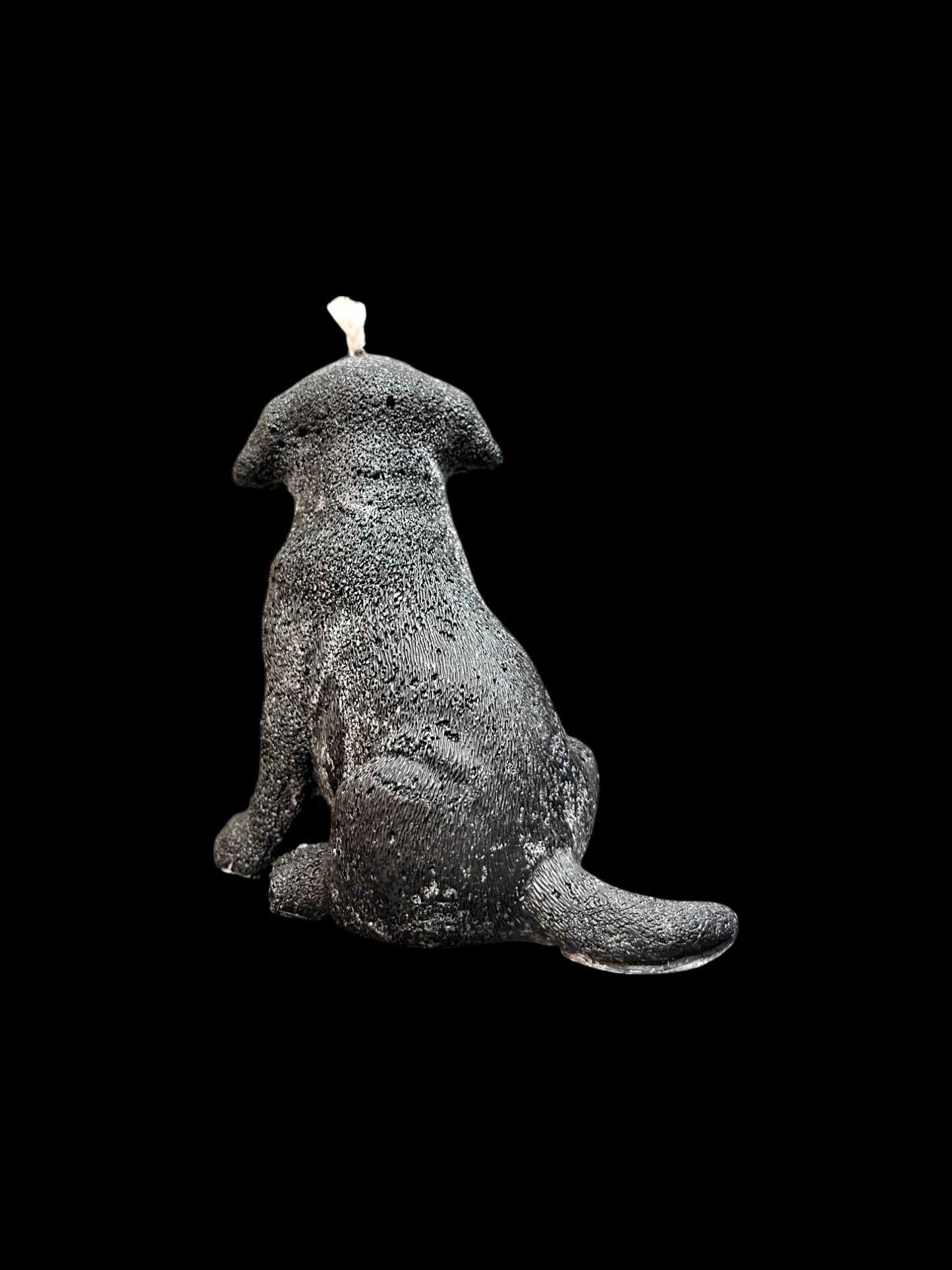 LABRADOR nero