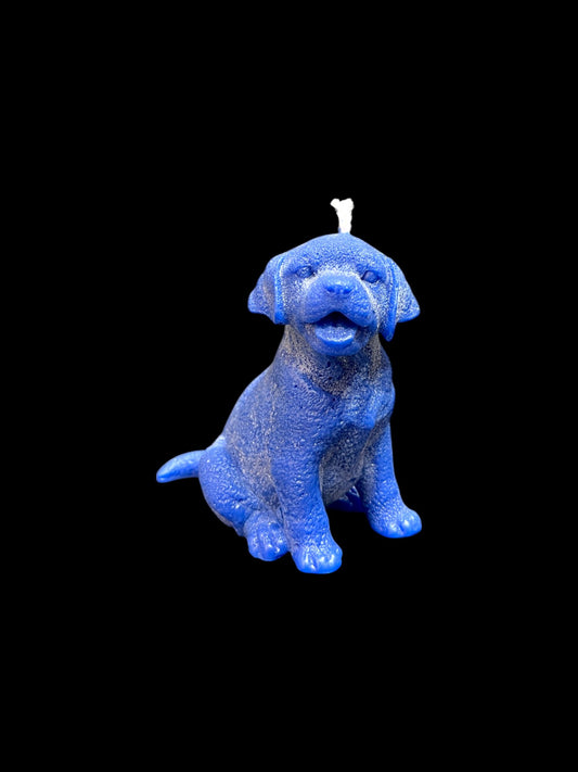 LABRADOR blu