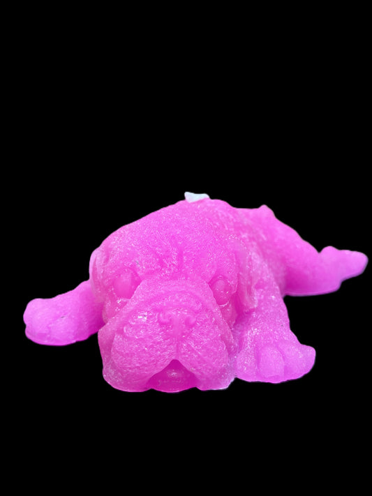 BULLDOG DISTESO fucsia