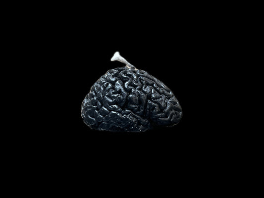 CERVELLO nero