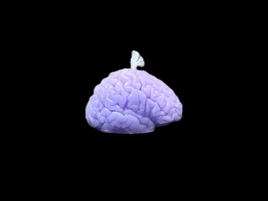 CERVELLO viola