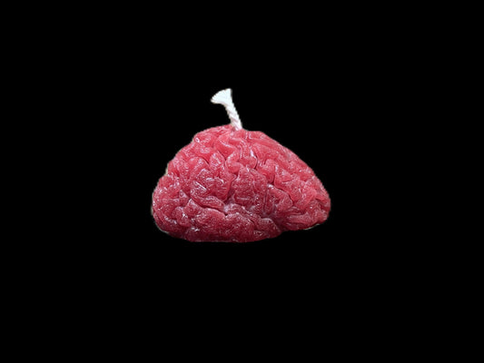 CERVELLO rosso