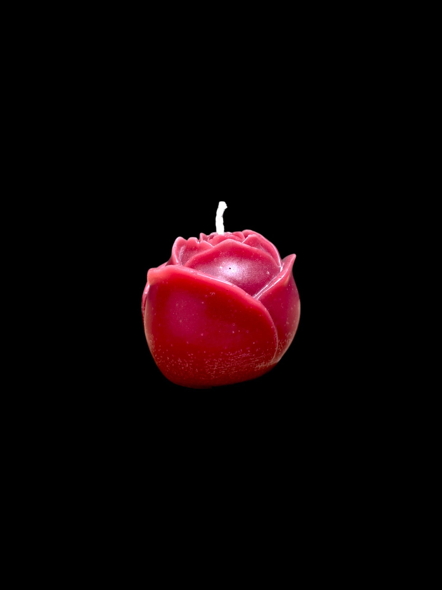 ROSA rossa