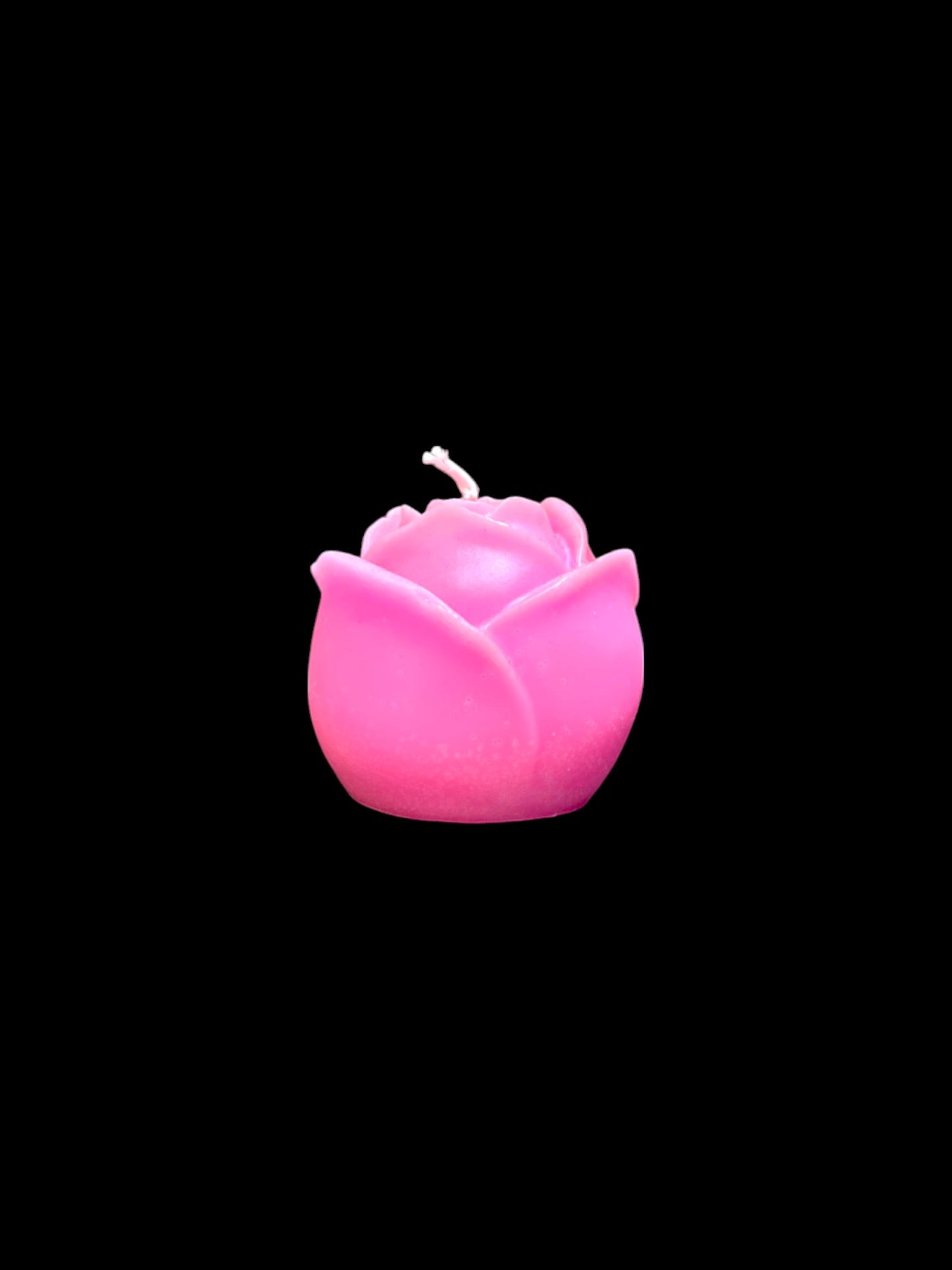 ROSA rosa
