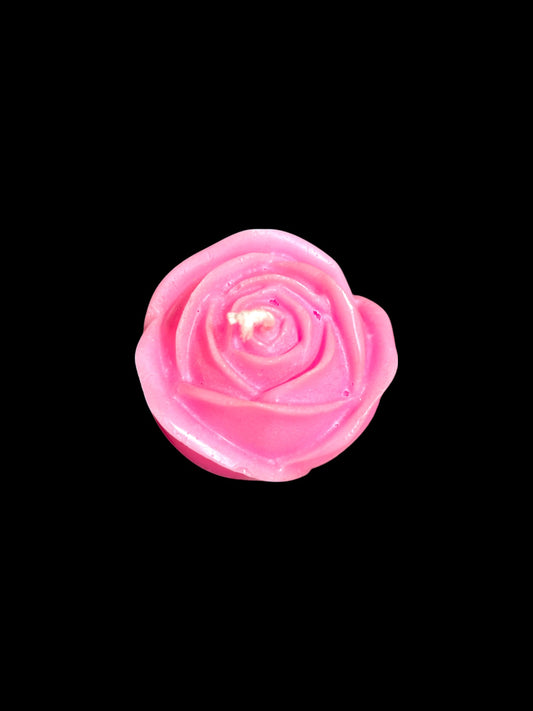 ROSA rosa