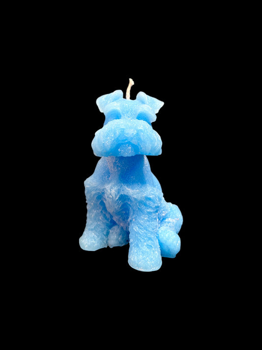 SCHNAUZER azzurro