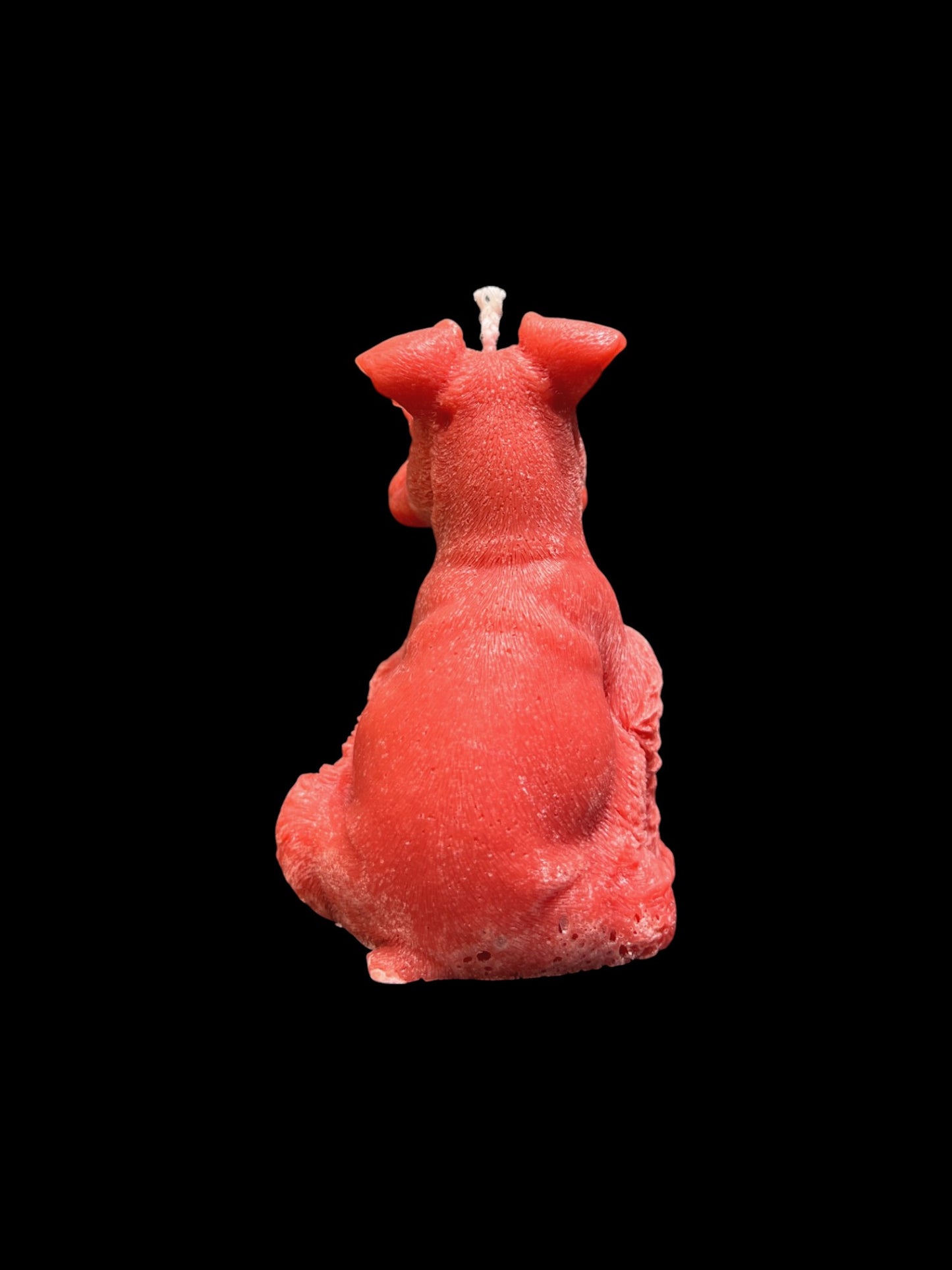 SCHNAUZER rosso