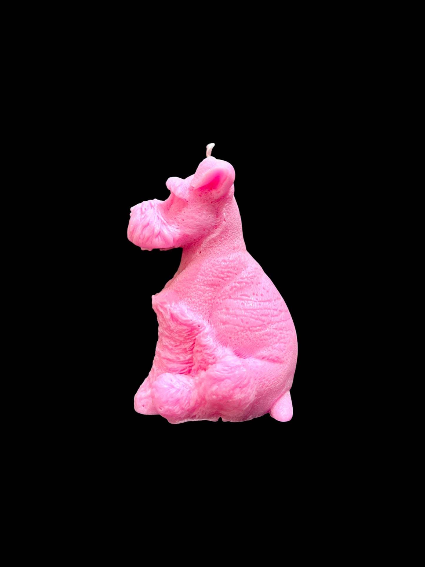 SCHNAUZER rosa
