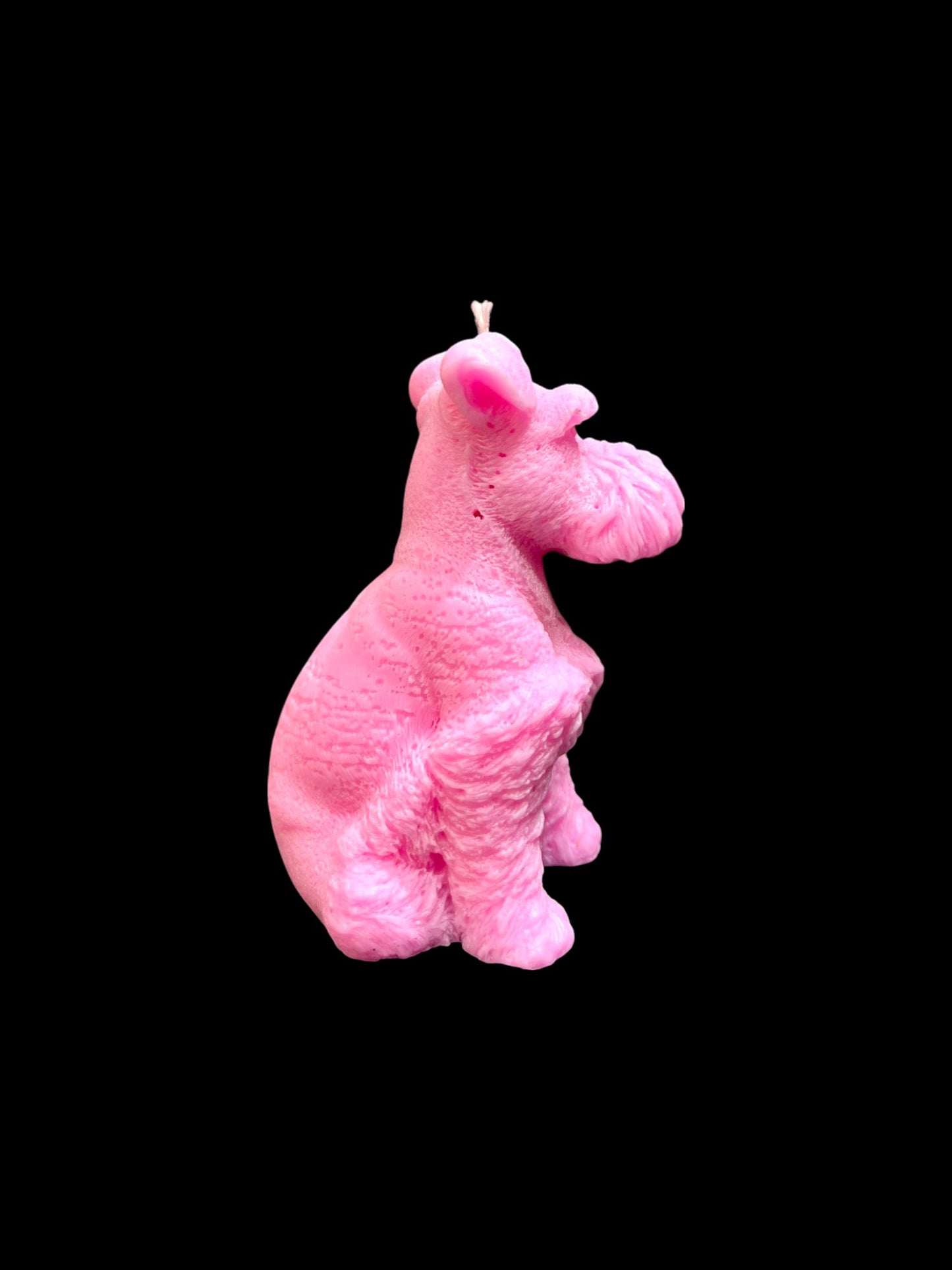 SCHNAUZER rosa