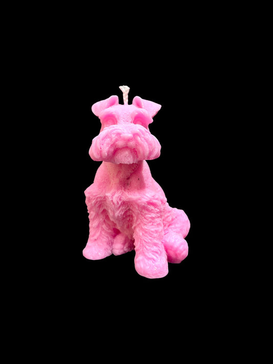 SCHNAUZER rosa