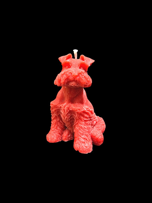 SCHNAUZER rosso