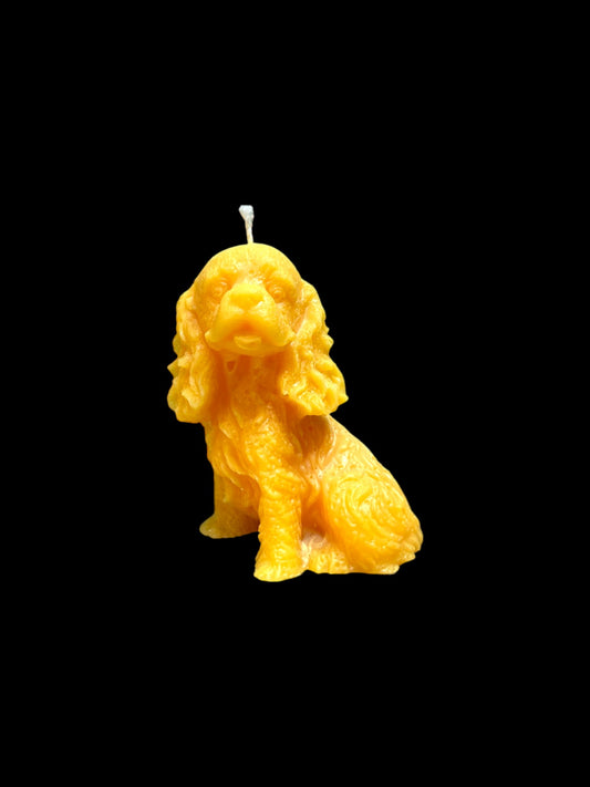 SPANIEL giallo